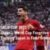 Spain vs Japan Group Stage Qatar
